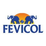 fevicol-310x310