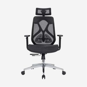 High Back Revolving Chair - DQSPINEHB