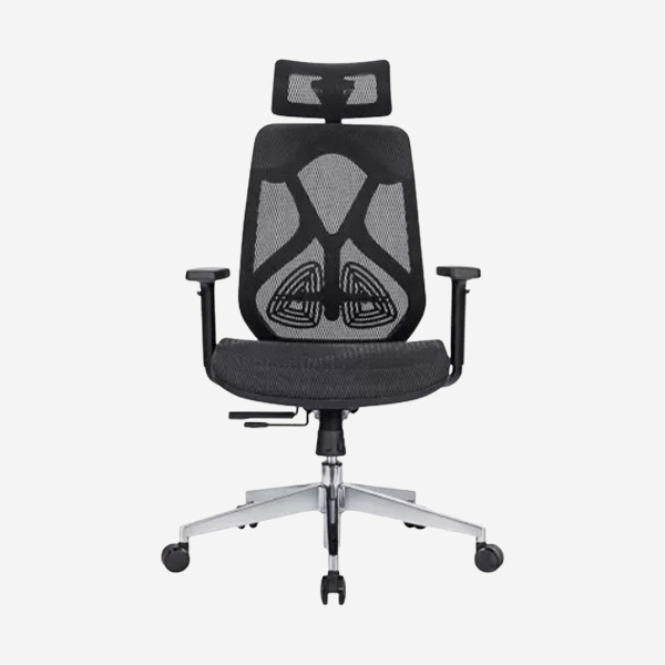 High Back Revolving Chair - DQSPINEHB